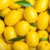 HOLIKA HOLIKA - Pure Essence Mask Sheet Lemon – Image 2
