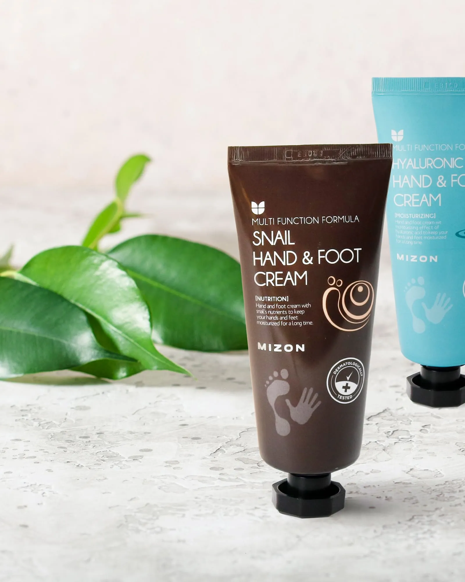 MIZON - Hand & Foot Cream Snai Mizon